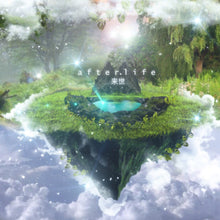 Load image into Gallery viewer, Afterlife (Multi-Kit)
