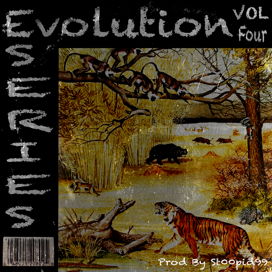 Evolution Series Vol. IV