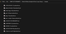 Load image into Gallery viewer, Wants &amp; Wishes (Samples &amp; Drum Loops Library)
